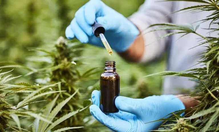 How to Start Low and Go Slow: Building a Hemp Routine That Works